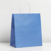 Пакет крафтовый Blue, 22 * 25 * 12 см