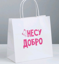 Пакет подарочный Несу добро, 22*22*11 см